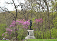 Gettysburg 4 21 24  Redbuds